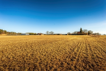 Prodej pozemku 8962 m², Lišov