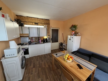 Prodej bytu 1+1 v družstevním vlastnictví 36 m², Žirovnice