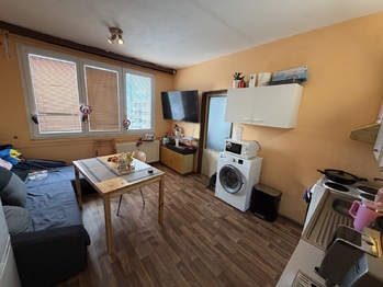 Prodej bytu 1+1 v družstevním vlastnictví 36 m², Žirovnice