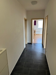 Pronájem bytu 2+kk v družstevním vlastnictví 60 m², Lavičky