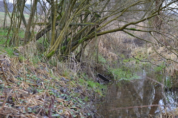 Prodej pozemku 1706 m², Hrubá Skála