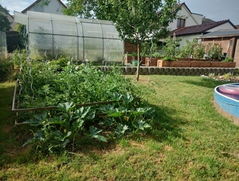 Léto  - Prodej domu 102 m², Česká Bříza