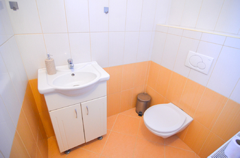 wc - Prodej domu 160 m², Vnorovy