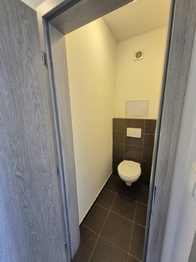 Pronájem bytu 2+kk v osobním vlastnictví 51 m², Milovice