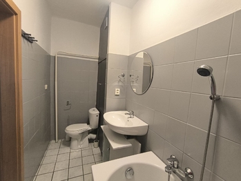 Pronájem bytu 2+1 v osobním vlastnictví 56 m², Sokolov