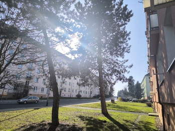 Pronájem bytu 2+1 v osobním vlastnictví 56 m², Sokolov