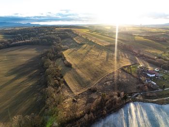 Prodej pozemku 40000 m², Polom