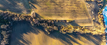 Prodej pozemku 40000 m², Polom