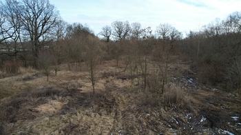 Prodej pozemku 40000 m², Polom