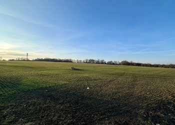 Prodej pozemku 67156 m², Velké Přílepy