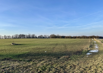 Prodej pozemku 67156 m², Velké Přílepy