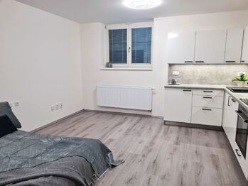 Pronájem bytu 1+kk v osobním vlastnictví 40 m², Brno