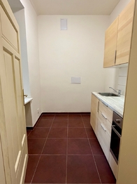Pronájem bytu 1+1 v osobním vlastnictví 35 m², Brno