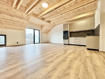 Prodej bytu atypický v osobním vlastnictví 112 m², Podbořany