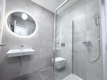 Pronájem bytu 1+kk v osobním vlastnictví 60 m², Praha 3 - Žižkov