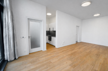 Pronájem bytu 1+kk v osobním vlastnictví 60 m², Praha 3 - Žižkov