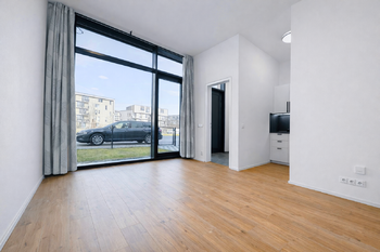 Pronájem bytu 1+kk v osobním vlastnictví 60 m², Praha 3 - Žižkov