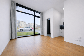 Pronájem bytu 1+kk v osobním vlastnictví 60 m², Praha 3 - Žižkov