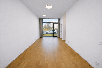Pronájem bytu 1+kk v osobním vlastnictví 60 m², Praha 3 - Žižkov