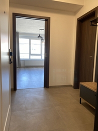 Pronájem bytu 1+kk v osobním vlastnictví 49 m², Plzeň