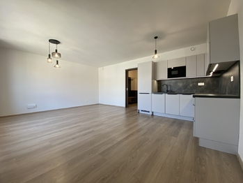 Pronájem bytu 1+kk v osobním vlastnictví 49 m², Plzeň