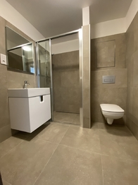 Pronájem bytu 1+kk v osobním vlastnictví 49 m², Plzeň