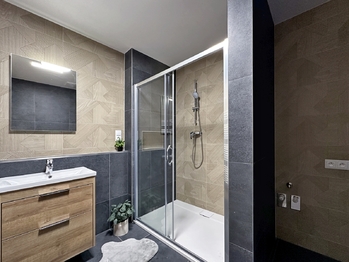 Pronájem bytu 1+kk v osobním vlastnictví 96 m², České Budějovice