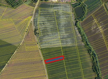 Prodej pozemku 5795 m², Habrovany