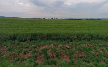 Prodej pozemku 5795 m², Habrovany