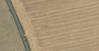 Prodej pozemku 5795 m², Habrovany