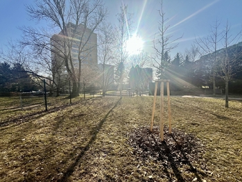 Pronájem bytu 2+kk v osobním vlastnictví 47 m², Praha 9 - Střížkov