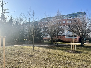 Pronájem bytu 2+kk v osobním vlastnictví 47 m², Praha 9 - Střížkov