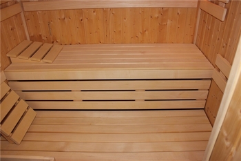 Sauna - Prodej domu 271 m², Průhonice