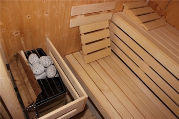 Sauna - Prodej domu 271 m², Průhonice