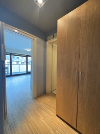 Pronájem bytu 1+kk v osobním vlastnictví 42 m², Praha 8 - Karlín