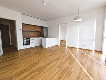 Pronájem bytu 2+kk v osobním vlastnictví 56 m², Rousínov