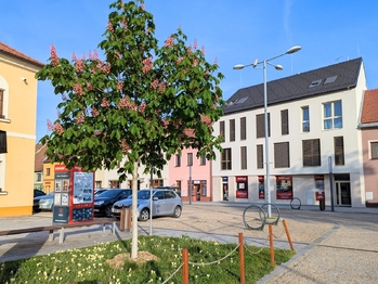 Pronájem bytu 2+kk v osobním vlastnictví 56 m², Rousínov