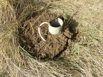 Vrt. - Prodej pozemku 754 m², Rataje