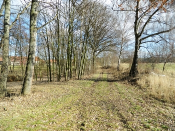 Příjezd k parcele. - Prodej pozemku 754 m², Rataje