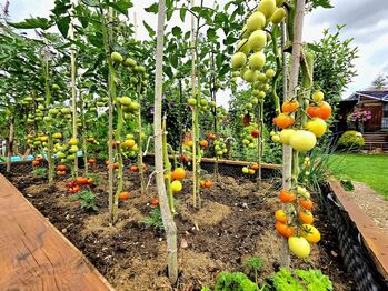 Prodej pozemku 262 m², Žatec