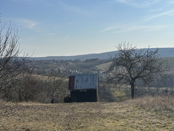 Prodej pozemku 1901 m², Kobeřice u Brna