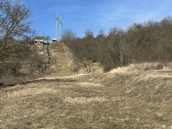Prodej pozemku 1901 m², Kobeřice u Brna