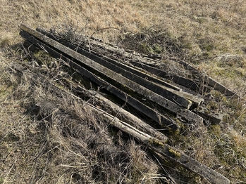 Prodej pozemku 1901 m², Kobeřice u Brna