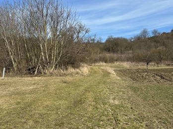 Prodej pozemku 1901 m², Kobeřice u Brna