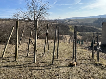 Prodej pozemku 1901 m², Kobeřice u Brna