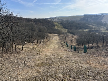 Prodej pozemku 1901 m², Kobeřice u Brna