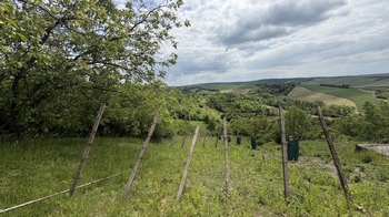 Prodej pozemku 1901 m², Kobeřice u Brna