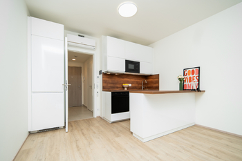 Pronájem bytu 1+kk v osobním vlastnictví 31 m², Praha 3 - Žižkov