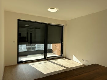 Pronájem bytu 1+kk v osobním vlastnictví 31 m², Praha 3 - Žižkov