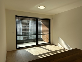 Pronájem bytu 1+kk v osobním vlastnictví 31 m², Praha 3 - Žižkov